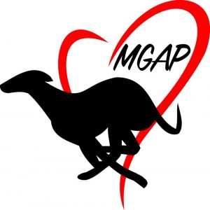 MGAP (Maritime Greyhound Adoption Program)